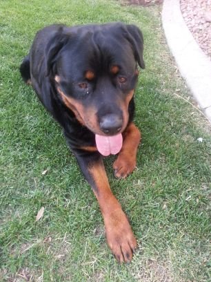 LaneyMunoz702's profile picture. Married over 30 years.... Own my own business children's child care....I love my job.... I wish I would have made a career change many years ago....