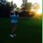 blaker916's profile image