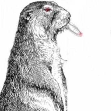 Diversión sin limites, así es quemarmota!