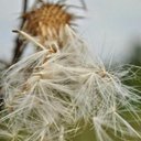 Jody Heath - @jodylheath - Twitter