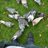 chris_sinfield's profile image