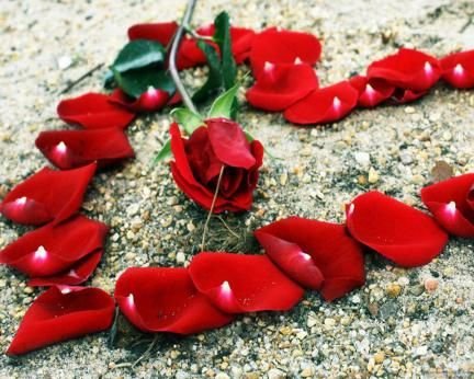 beso12311b's profile picture. 