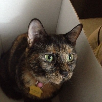 MisanduV's profile picture. desperately in need of maybe a month, maybe a year off