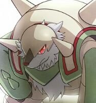 I'm not exactly the nicest Chesnaught...call me cute and it'll be the last thing you say!! trainer: @MikuNynyamo #CanSwitchGenders #OpenRelationship
