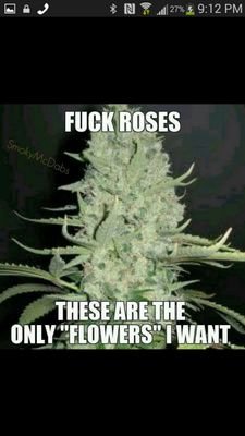 Fukk you... its simple.