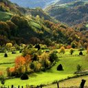 Sandra Sánchez - @sacachewi - Twitter