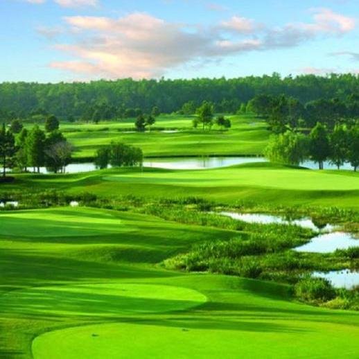 Beautiful Shingle Creek Golf Club, 18-hole, David Harman-designed championship course at Rosen Shingle Creek in Orlando.  facebook@shinglecreekgolf