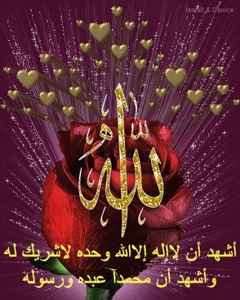 abuosheik's profile picture. ‏‏الايام ديمه ظالماني ...عتمه الليل وسكونه هم ملاذي...بحلم كتير وحلمي كبير بس الواقع دائما حارمني .... ورغم ده عشمي في ربي كبيييييييييييير