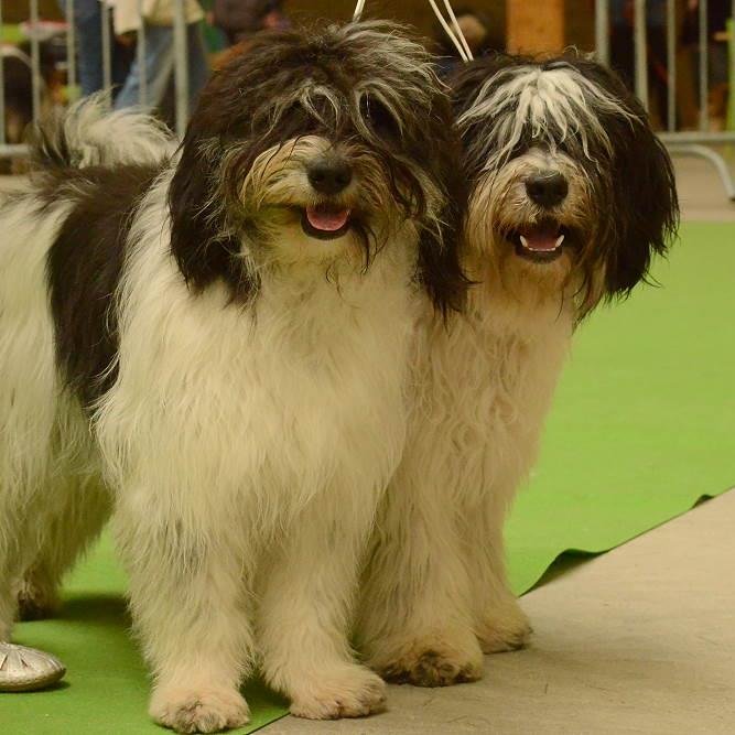 nizinny_s's profile picture. 