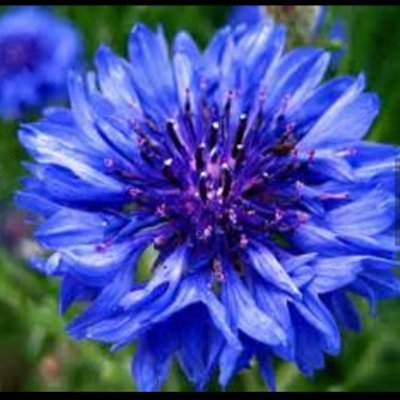 WordsOfAdvice3's profile picture. Need to get something off your chest? Tell me and ill tweet what you wish you could say but cant!