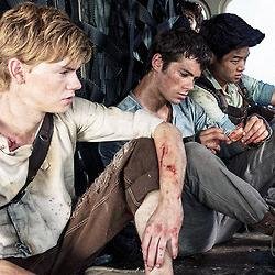 tmrquote's profile picture. we're all bloody inspired.