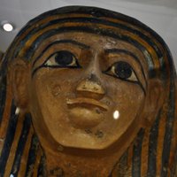 Plymouth Museums (@plymouthmuseum) 's Twitter Profile