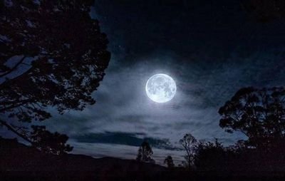 shepard501's profile picture. 