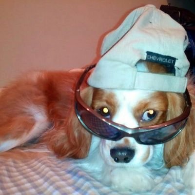 DavidMadrigal99's profile picture. 