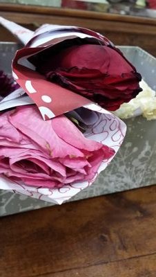 صلوا على خير الآنام