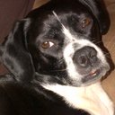 Stephen Inglis - @steve_inglis - Twitter