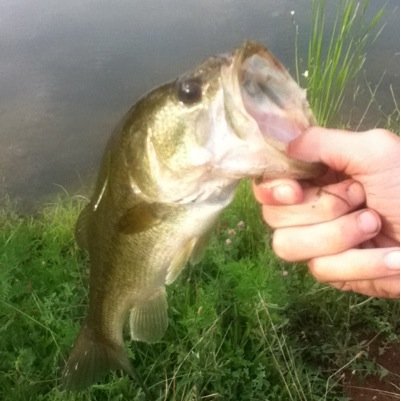 2016Johndavis's profile picture. 