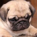 julia Wesley - @jujubird23 - Twitter