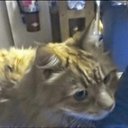 Joy Price - @joyprice59 - Twitter