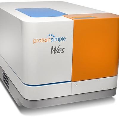 WowFactor_Wes's profile picture. Robot of Science