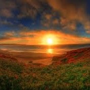 HonestlyVickery's profile picture. live in foco - dislike fake people and mean people - tired of no one speaking their mind or thinking for themselves.  Ask my opinion i will tell you