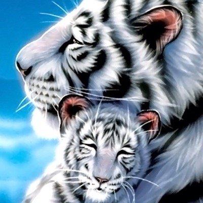 courty1964's profile picture. 