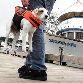 Flagship Maritime is a USCG-approved, state-licensed vocational school, helping boaters put their at-sea experience to work as licensed merchant mariners.