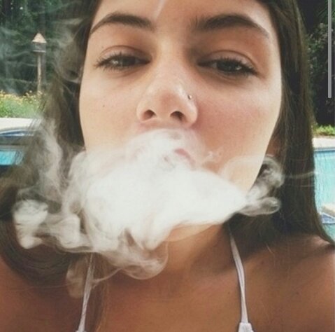 Sejam bem vindos maconheiros ¥ dúvidas sobre a ervinha? pergunte aqui → http://t.co/Q973N7IEPM