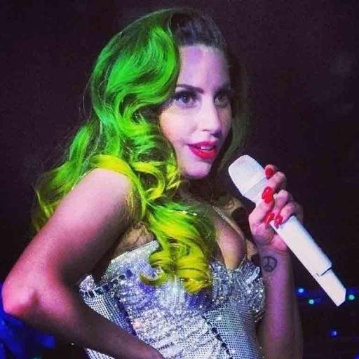 i like lady gaga, lady gaga is my inspiration!