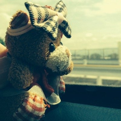 mimi93569477's profile picture. クマの子ぬいぐるみのミミです‼︎佐賀に住んでます！ここに来て4年目です‼︎現在はミミの歌を作曲中です‼︎(｡ゝω・｡)ゞよろしくねっ！【相互フォロー】