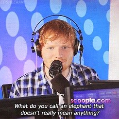 the only joke that ed ever tells