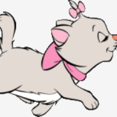 tiramisu Profile