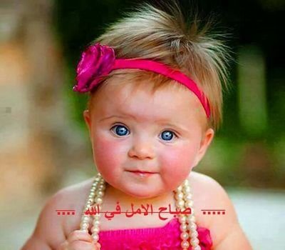 sabryabdalrahi1's profile picture. 