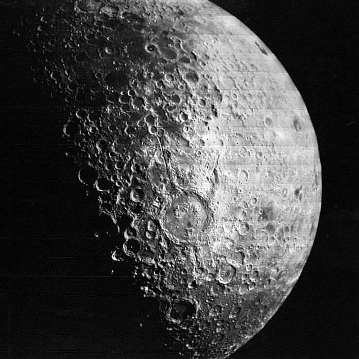 Thatthingythere's profile picture. 