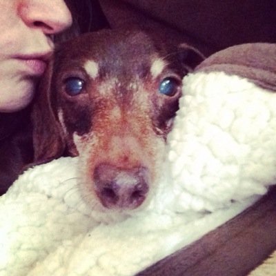 pieceofPi314's profile picture. 