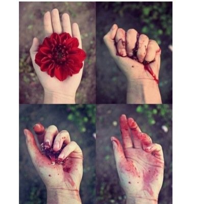 DilberDilberr's profile picture. 