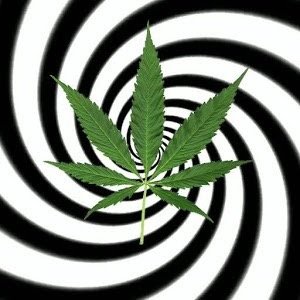 BurnedOut420's profile picture. Legalize to save lives! lets start a revolation of the new world!