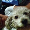 Danny Lema - @DannyLema6 - Twitter