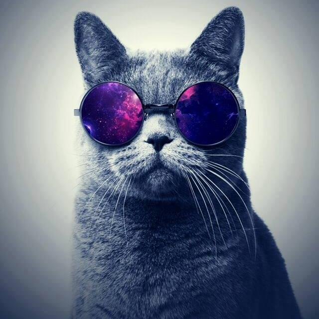 Me llamo Roberto Tengo 13 Años me gusta la Musika Electronica :) y me gusta conocer amistades C: