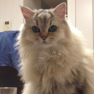 as3.0 / javascript / php (･ω･ #)