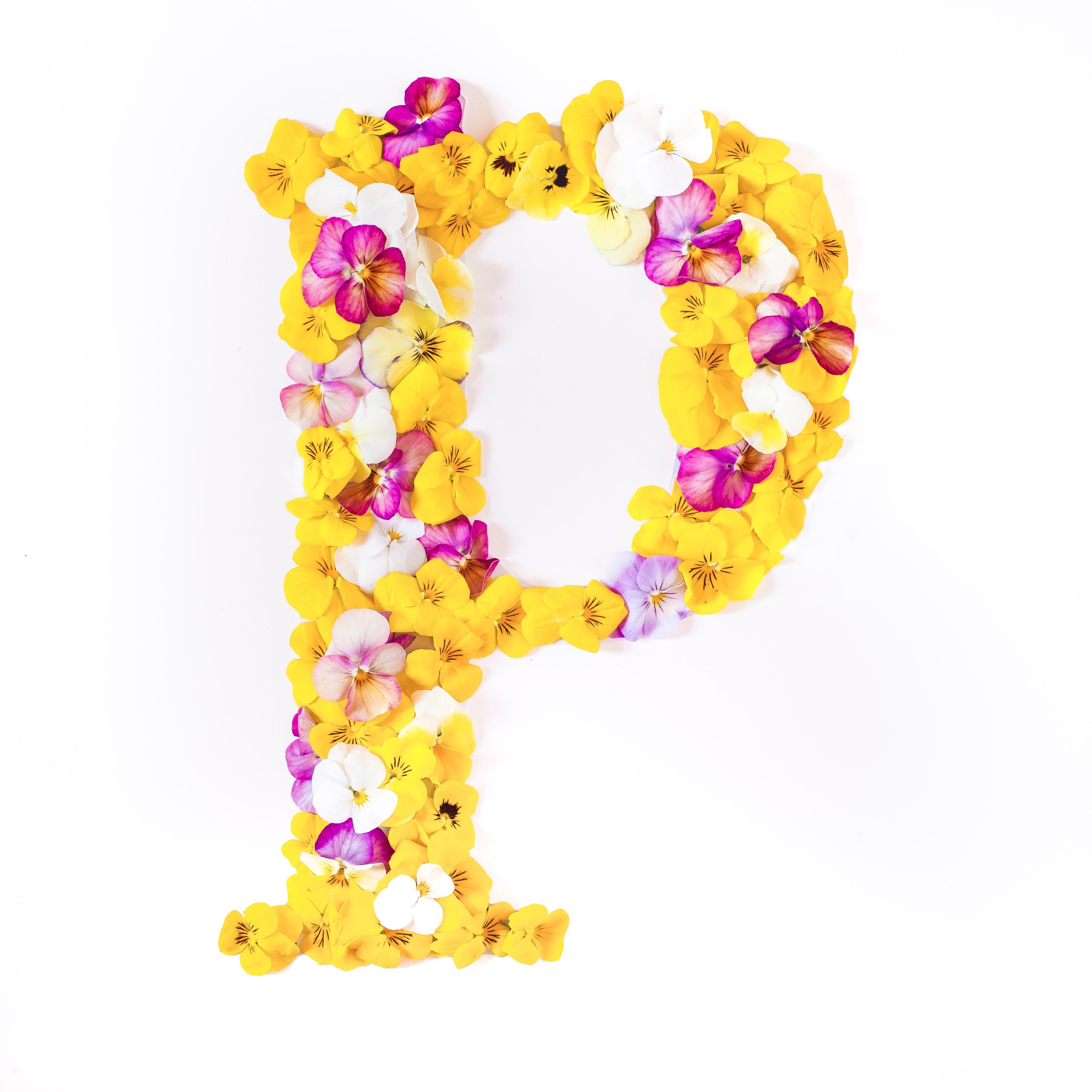 Organic edible flowers and leaves grown in the Yarra Valley for Australia and Asia's best chefs.