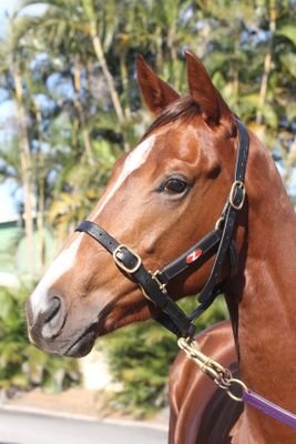 sameold44's profile picture. Manager of Better Solar - 
Better Energy Solutions