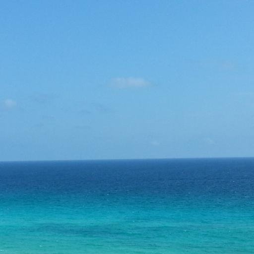 chassyo2's profile picture. You only get one shot!