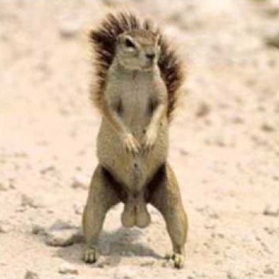 zholtz2's profile picture. 