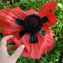 Caitlin Bright - @Cait_Borth - Twitter