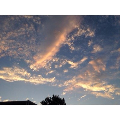 westcamT1's profile picture. 