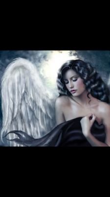 KRivelli1954's profile picture. Saving All Animals from the torture of Mankind and there Dirty Deeds