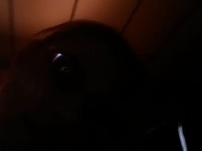 Hello! My name is Rennie, I'm 32 years old, and engaged to the love of my life, Joseph Tomczak.  I live in Buffalo, NY, I like to cook and bake, I love my frien
