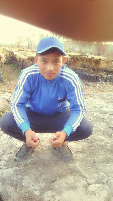 Cengal kab. Oki