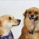 Mike Raynor - @thxmiker - Twitter